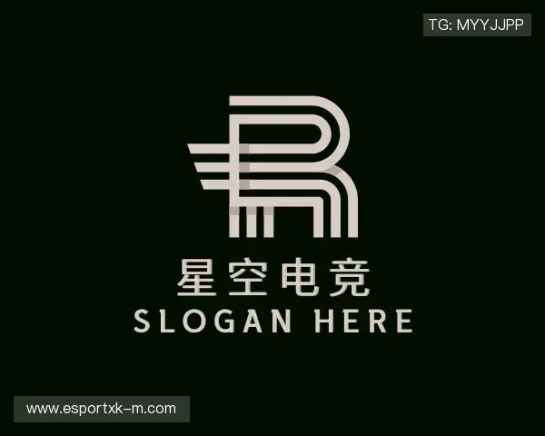 了解星空电竞官网